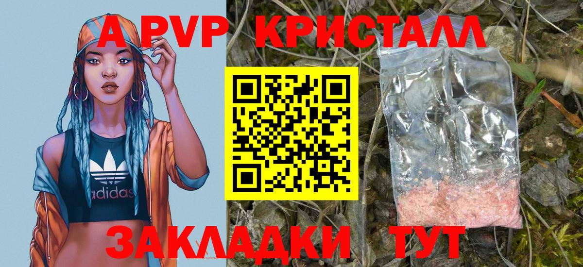 Альфа ПВП СК Можга