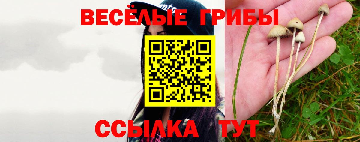 Галлюциногенные грибы прущие грибы Можга